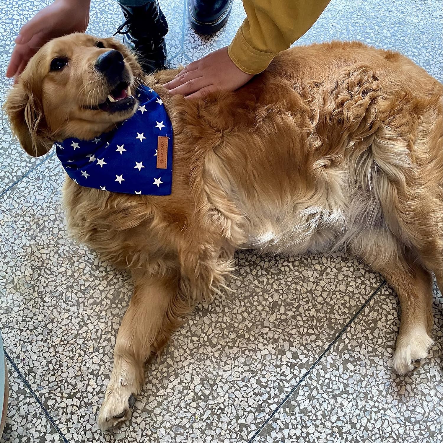 4Th of July Dog Bandanas 2 Pack, Reversible American Flag Pet Scarf for Boy and Girl, Premium Durable Fabric, Patriotic Bandana for Small and Medium Dogs (Small)