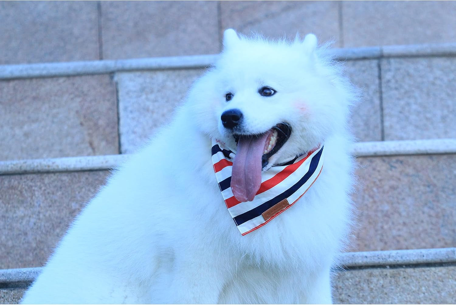 4Th of July Dog Bandanas 2 Pack, Reversible American Flag Pet Scarf for Boy and Girl, Premium Durable Fabric, Patriotic Bandana for Small and Medium Dogs (Small)