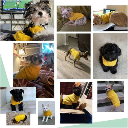 Small Dog Sweaters Knitted Pet Cat Warm Dog Sweatshirt Winter Clothes Kitten Puppy Sweater (X-Small,Yellow)